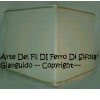 ingrandisci